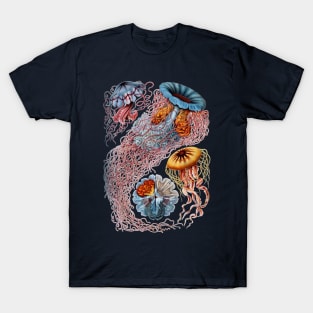 Jellyfish by Ernst Haeckel T-Shirt